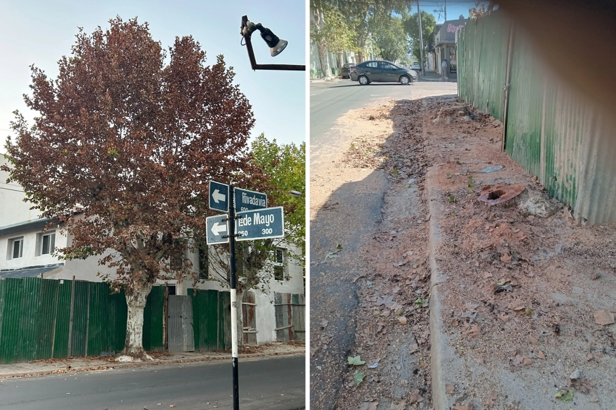 La obra en cuesti&oacute;n.