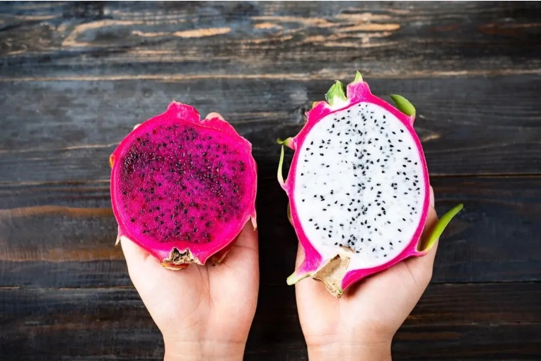 Concordia impulsa la producción de pitaya y abre paso a una nueva alternativa frutícola entrerriana