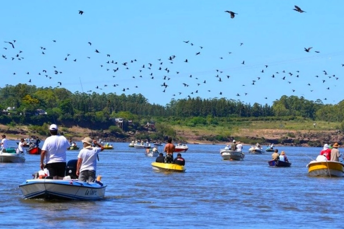 Las embarcaciones en la Fiesta Nacional  de la Boga 2025