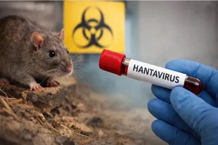 La provincia mantiene niveles de vigilancia ante el aumento de casos de hantavirosis