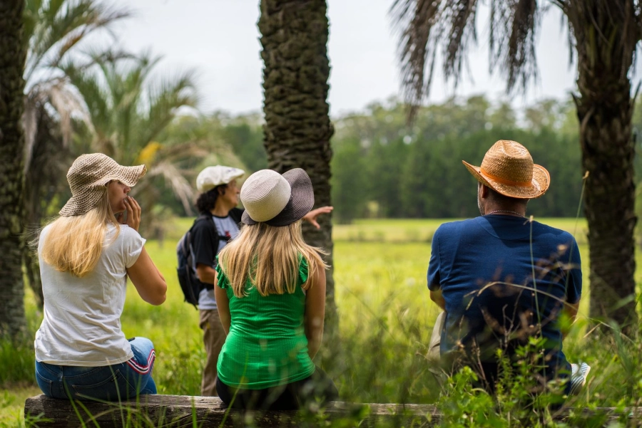 La propuesta promete un d&iacute;a de campo.