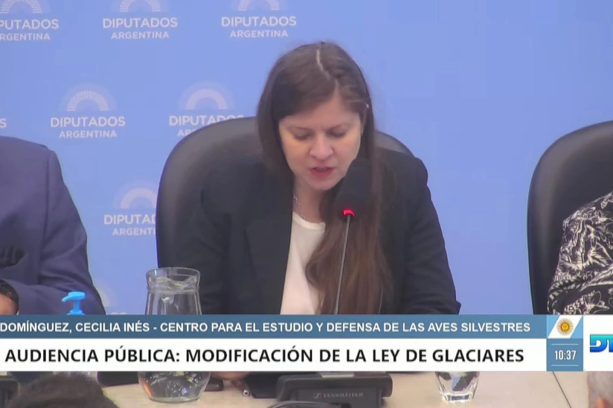 Ceydas particip&oacute; de la audiencia.