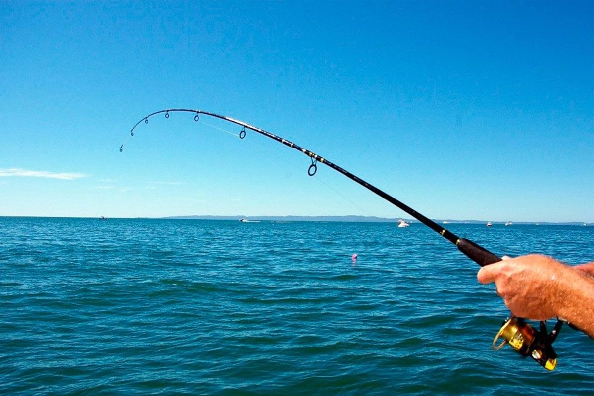 Concordia dispone de uno de los puestos de control habilitados para gestionar permisos.