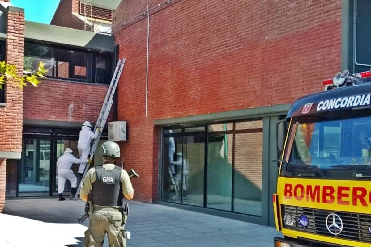 Debi&oacute; intervenir personal de Bomberos Voluntarios.