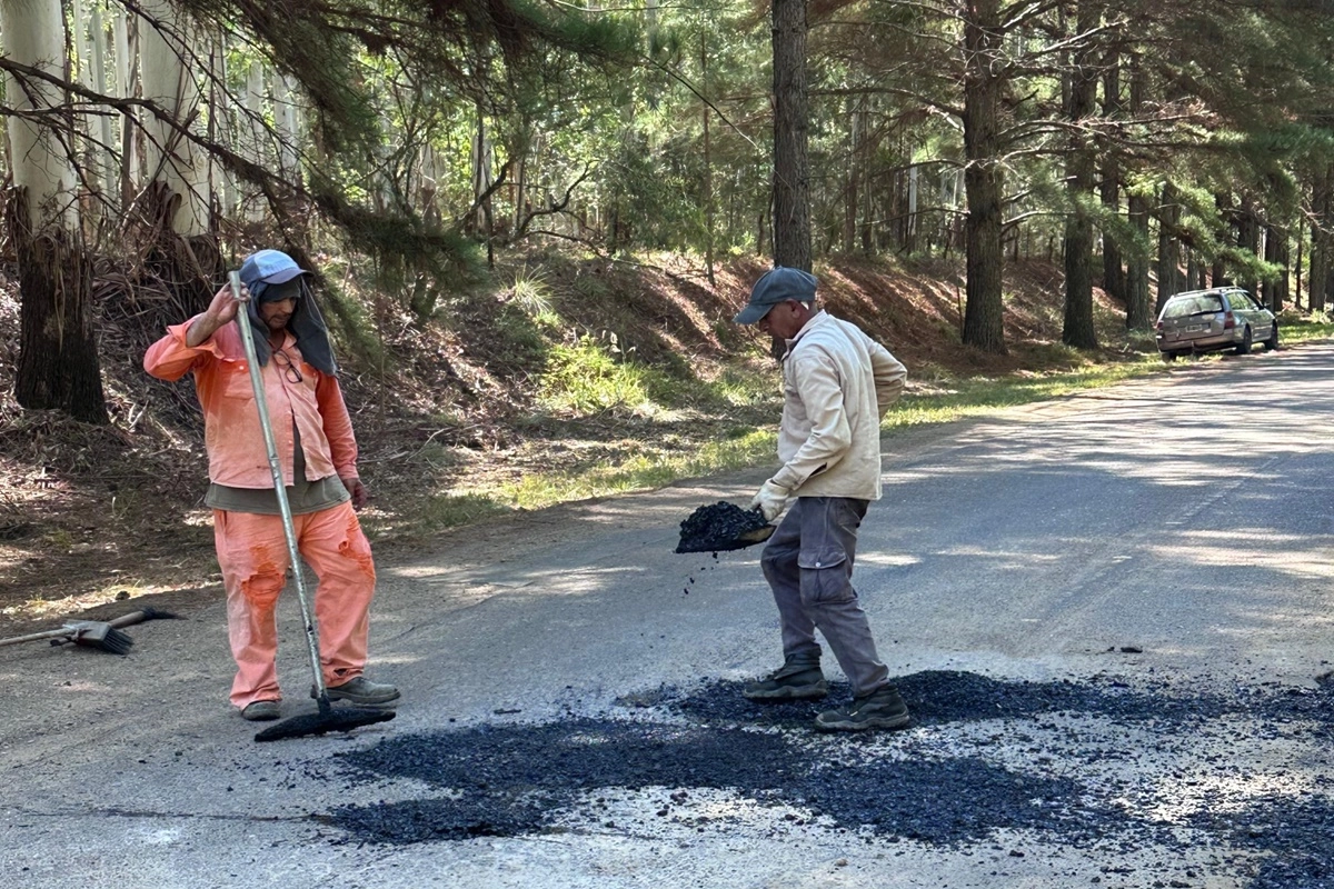 Se anunci&oacute; que en los pr&oacute;ximos meses se pondr&aacute; en marcha un plan de intervenci&oacute;n integral.