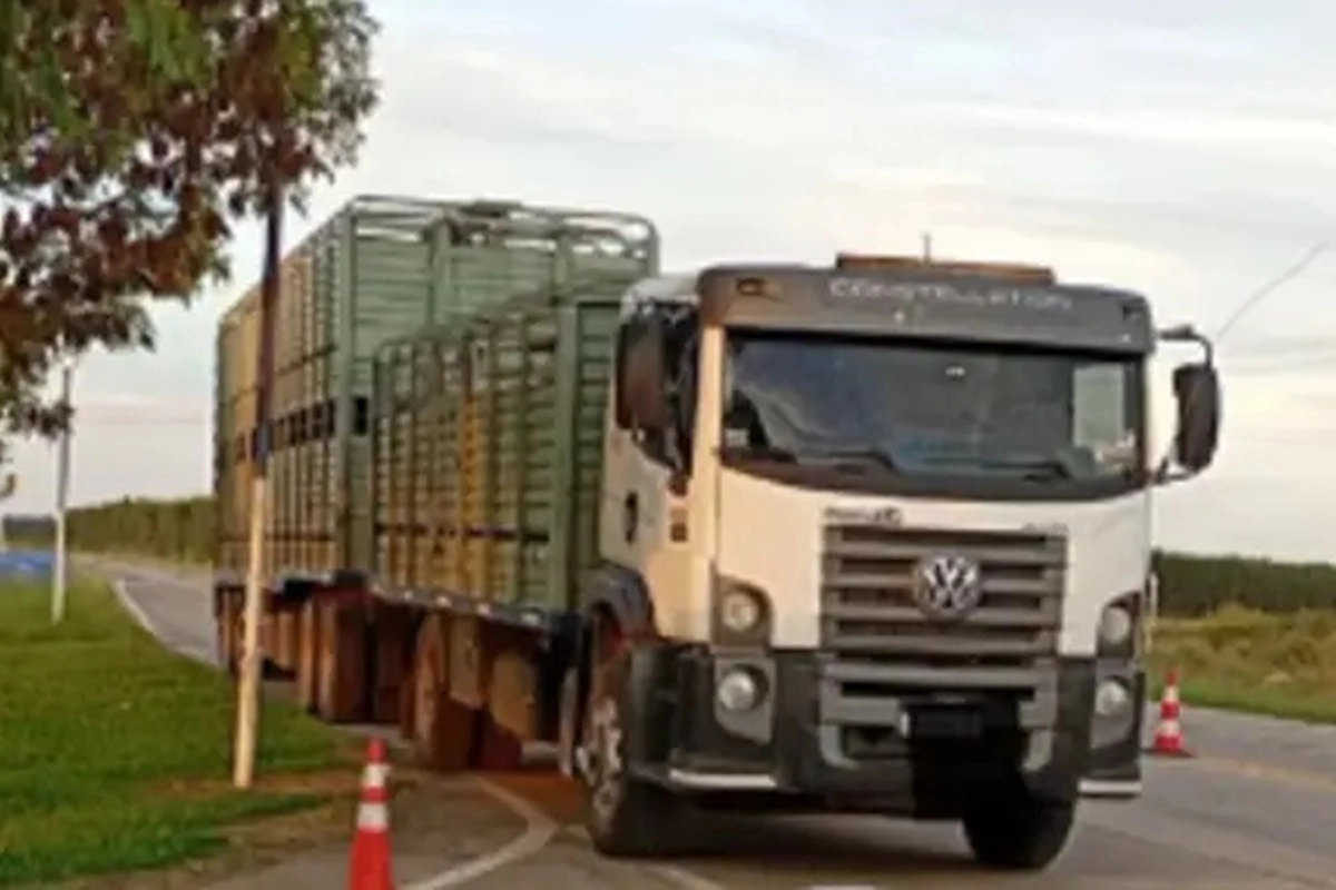 Se dispuso el regreso inmediato del transporte y de los animales.