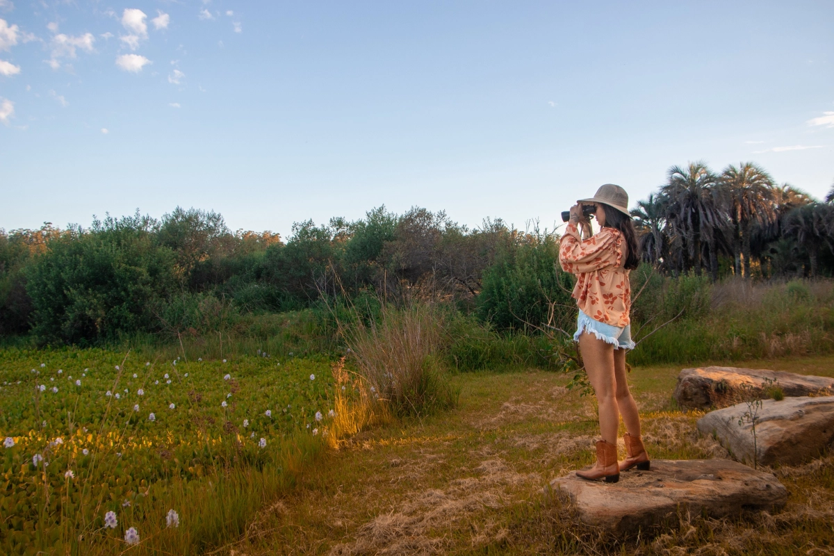 Propuestas locales ser&aacute;n incluidas en la plataforma online.