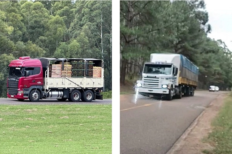 Reclamos por camiones circulando en caminos del Perilago recientemente reparados