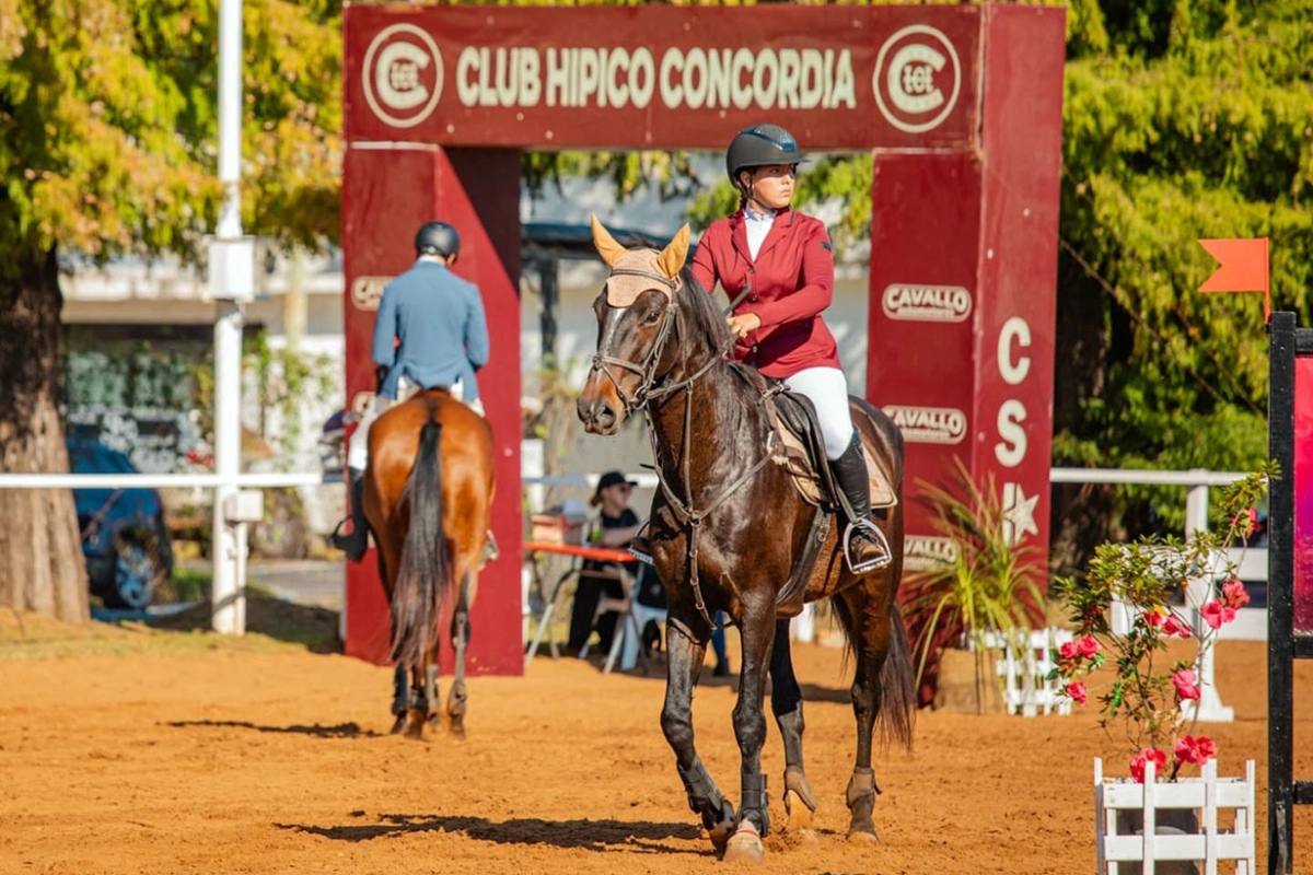 Postal de la edici&oacute;n anterior