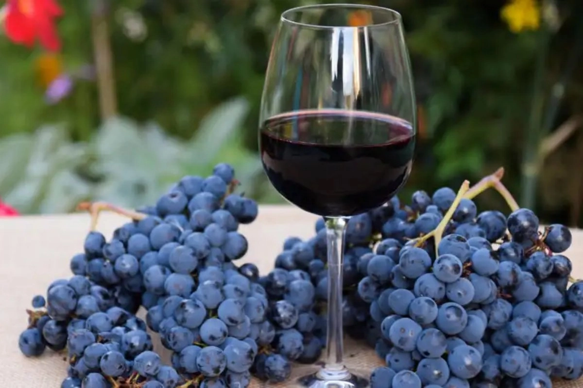 17 de abril: D&iacute;a Mundial del Malbec