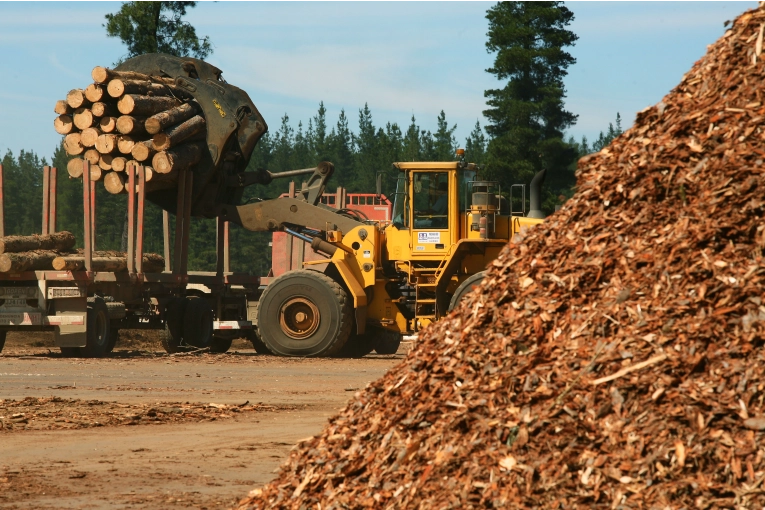 Construir&aacute;n en Corrientes una megaplanta de celulosa que impactar&aacute; en la producci&oacute;n forestal de toda la regi&oacute;n