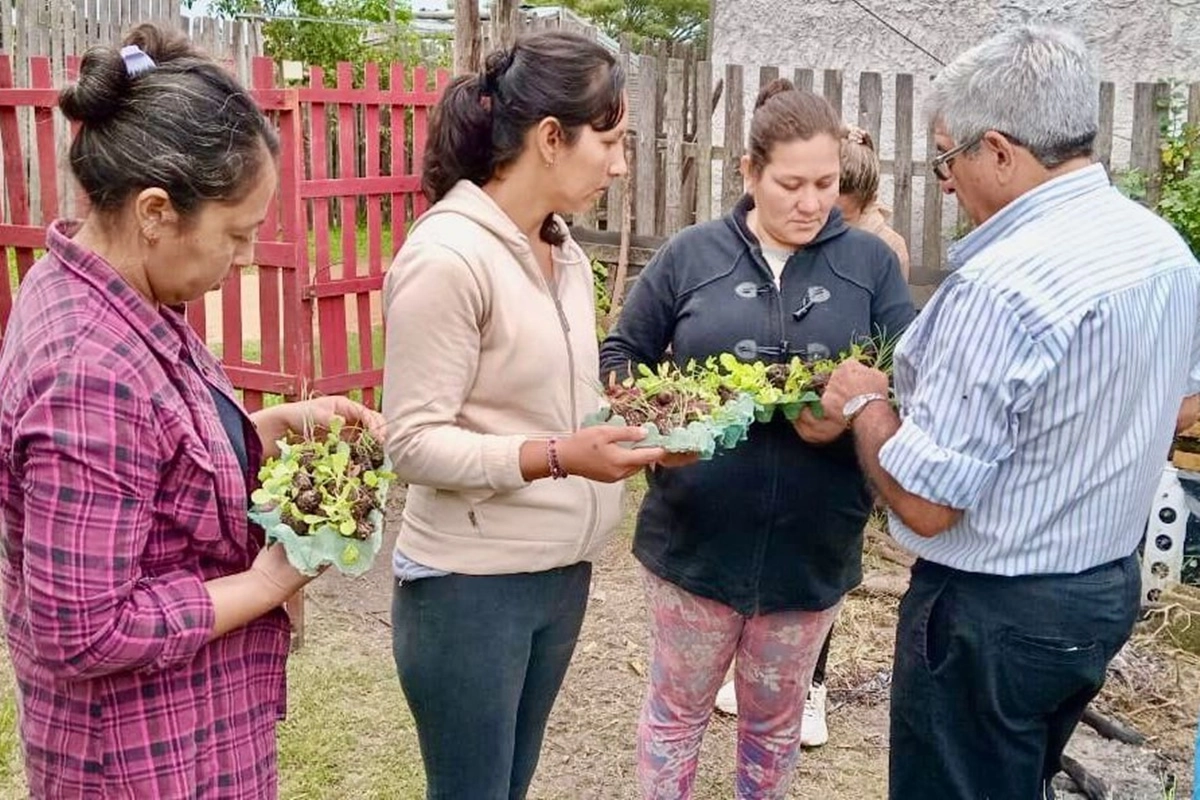 Aseguran que el programa garantiza el acceso a alimentos saludables y a la organizaci&oacute;n comunitaria.