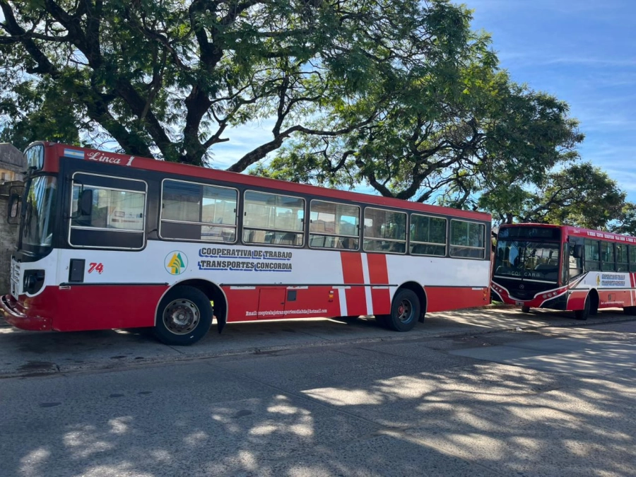 &Uacute;nicamente trabajar&aacute; con 6 de sus 13 colectivos.