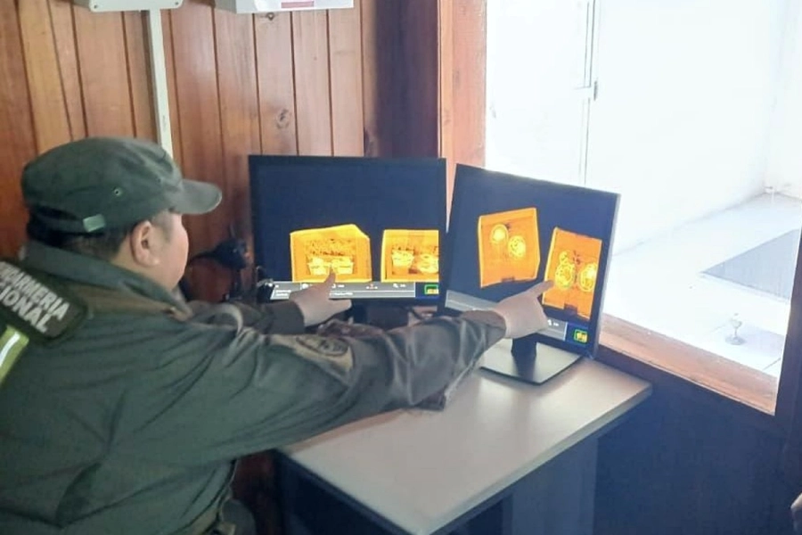 Fueron detectadas por el escaneo realizado.