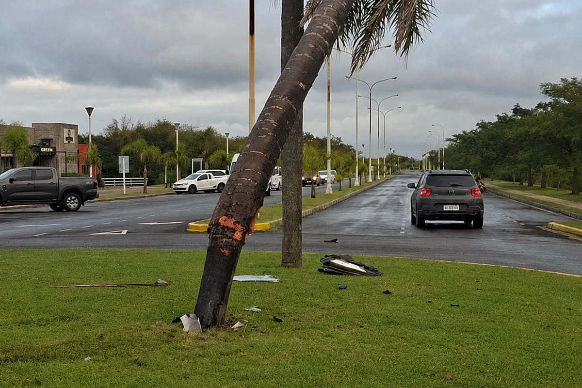 Las se&ntilde;alaes del choque que quedaron en la palmera