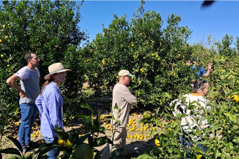 Vence el plazo para que productores de La Criolla accedan a beneficios por daños del granizo