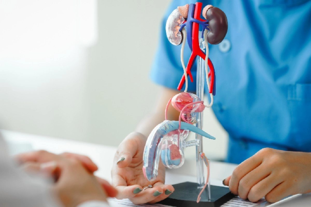 LALCEC contin&uacute;a con la campa&ntilde;a de prevenci&oacute;n de c&aacute;ncer de pr&oacute;stata.