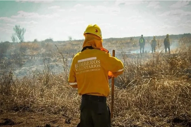 Senadores piden al Ejecutivo que cumpla con la ley y garantice a los Bomberos cobertura de salud