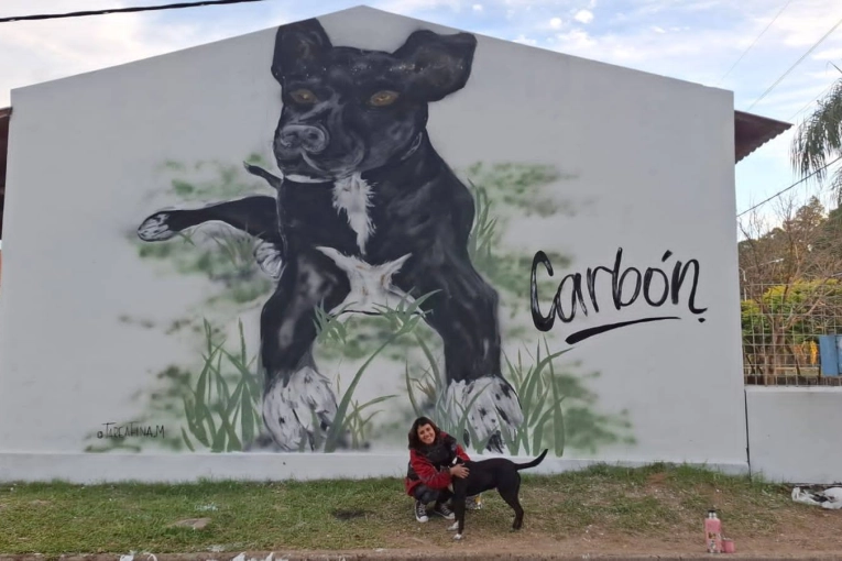 El mural de &ldquo;Carb&oacute;n&rdquo; en una escuela de Villa Adela se viraliz&oacute; y gener&oacute; repercusi&oacute;n nacional