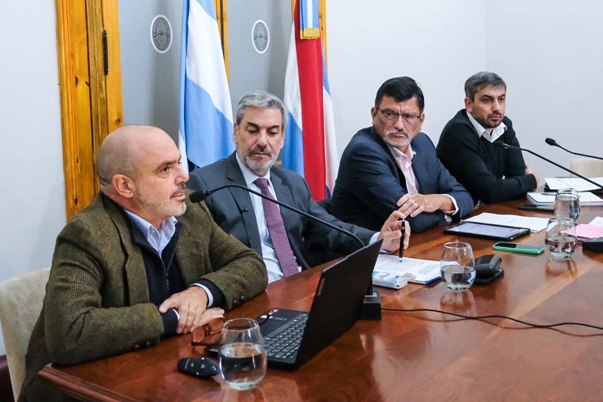 Boleas y Bagnat expusieron en el Senado sobre la reforma previsional