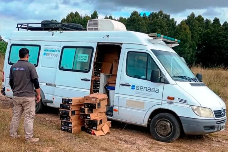 Decomisaron más de tres toneladas de embutidos que eran transportados por la región