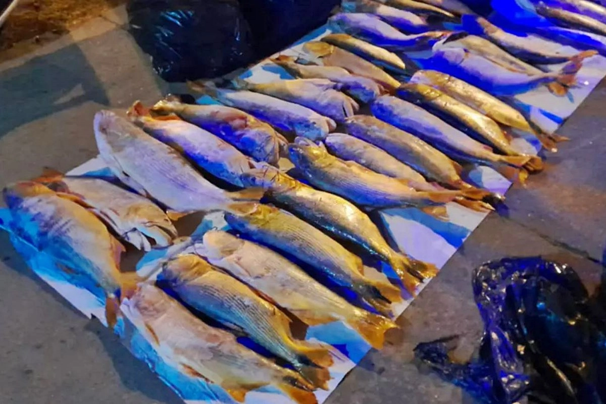 Parte de la mercader&iacute;a incautada.
