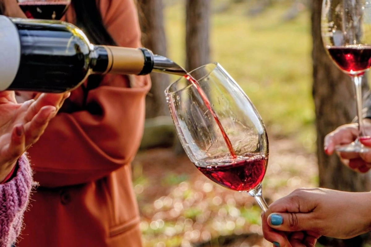 La provincia cuenta hoy con 31 bodegas tur&iacute;sticas