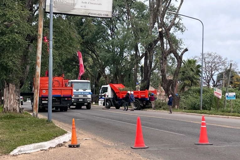 Comenzaron los trabajos de poda sobre avenida Eva Perón y el municipio anunció un plan de intervenciones en altura