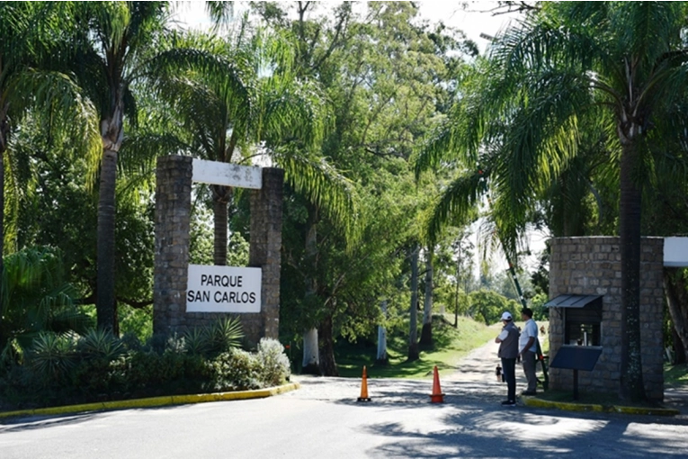 Impulsan trabajos de restauración ambiental en el Parque San Carlos