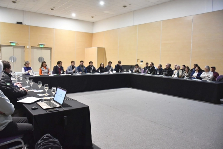 Concordia busca consolidar una estrategia para potenciar su perfil productivo