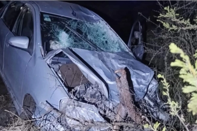 Un automóvil colisionó con un bovino y su conductor debió ser trasladado a Concordia