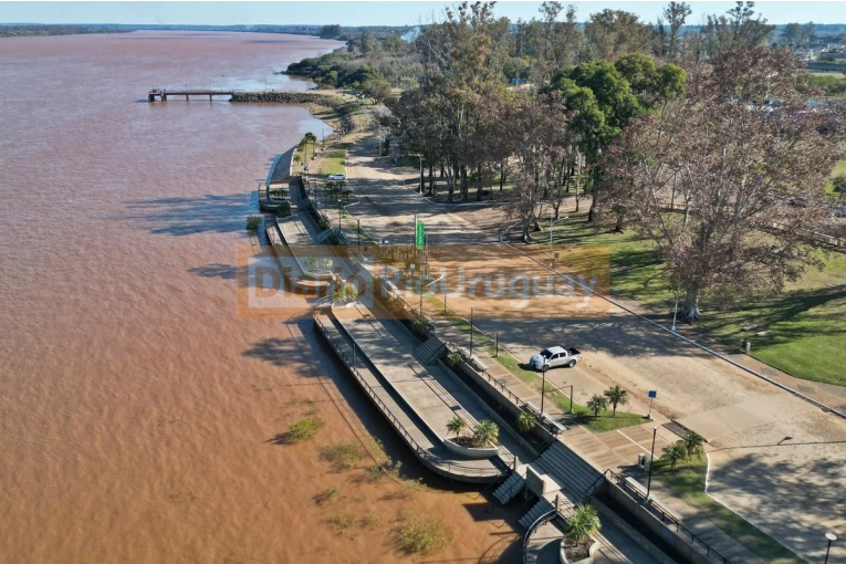 El Ente de Costanera realiza tareas preventivas ante la actual y otras crecientes pronósticadas