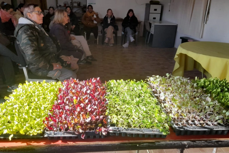 El municipio capacitó a personas mayores sobre huertas de invierno y alimentación saludable