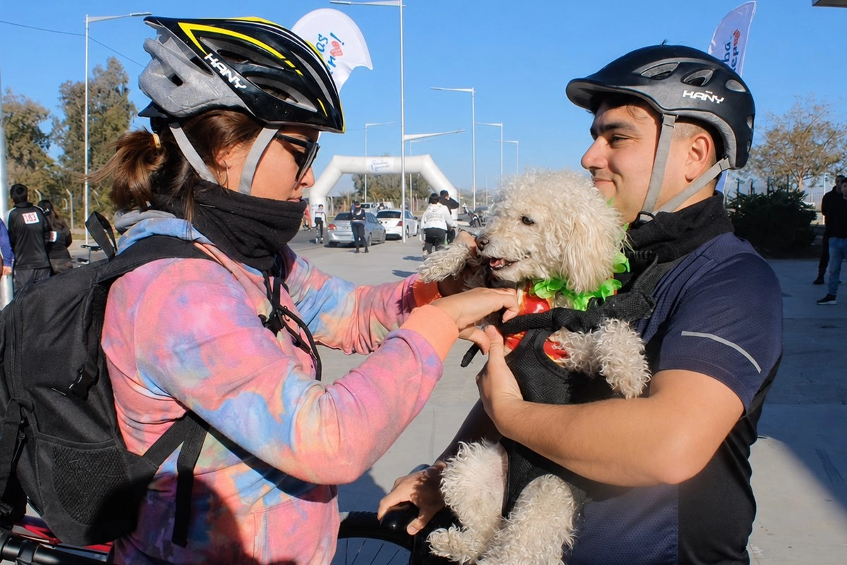 Todo lo recaudado ser&aacute; destinado a cubrir gastos veterinarios y continuar con la asistencia