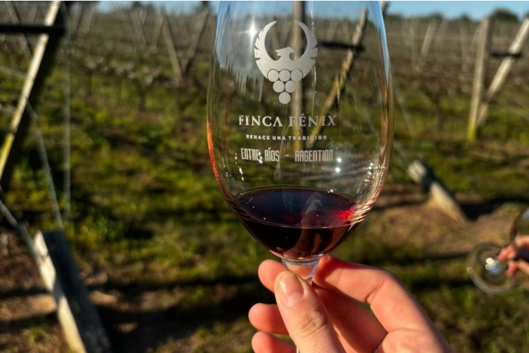 Finca Fénix prepara una jornada especial por el Día del Amigo con vinos, gastronomía y recorridos por el viñedo