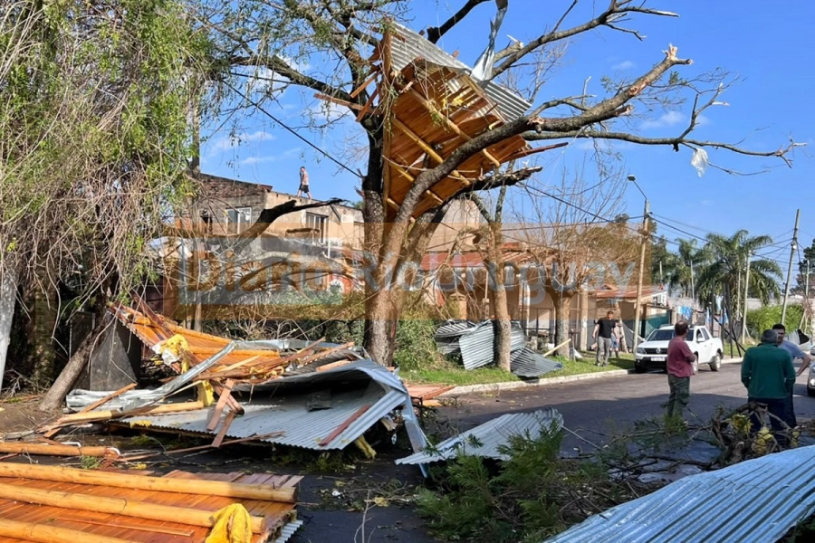 Parte de un techo en un &aacute;rbol de Villa Zorraqu&iacute;n