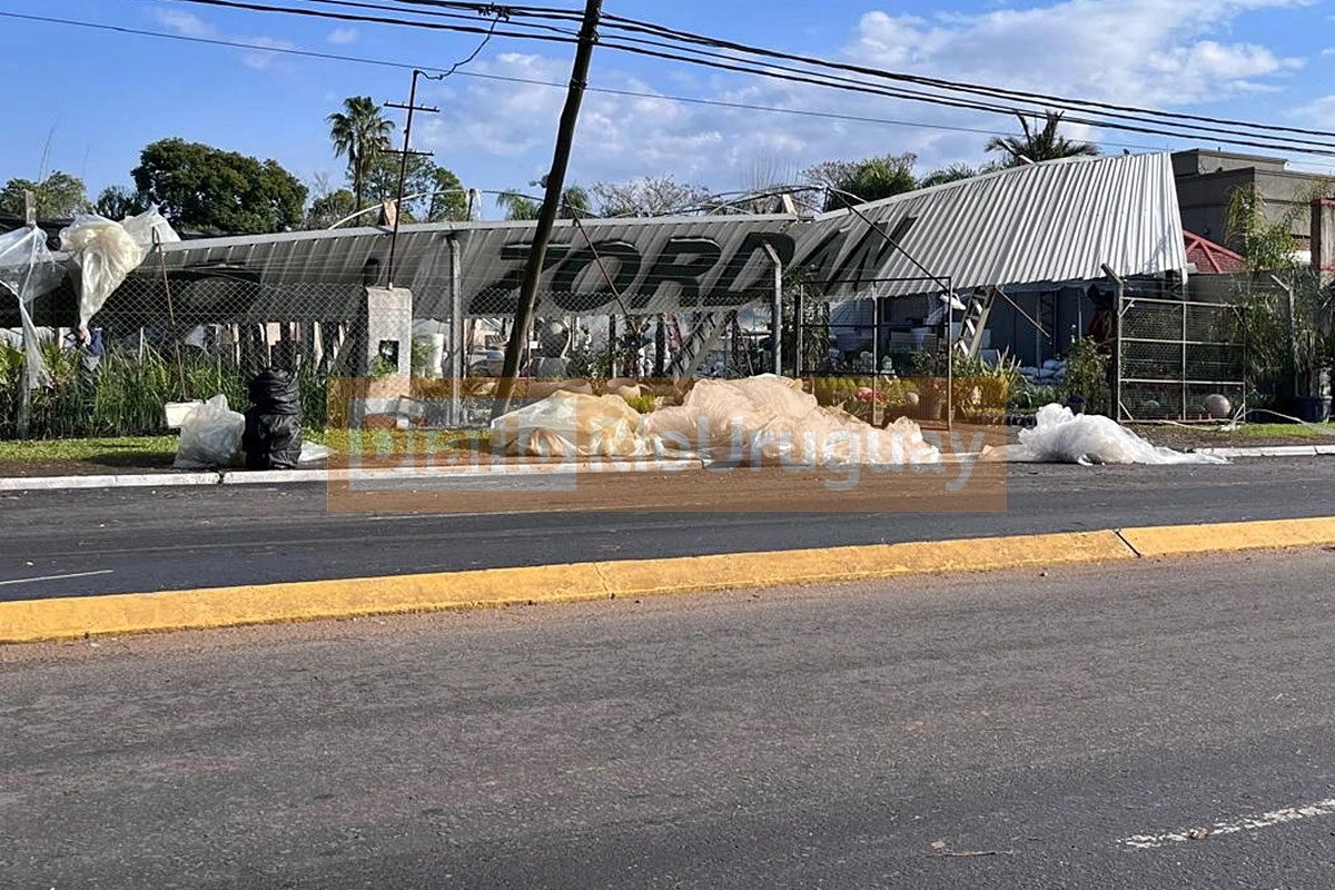 Uno de los hist&oacute;ricos viveros de la zona norte de Concordia destru&iacute;do por el viento.