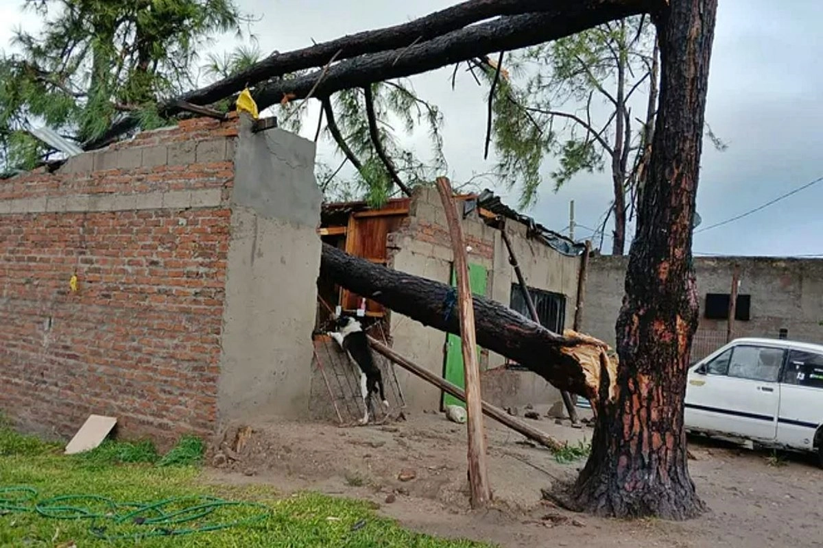 La ciudad de Salto tambi&eacute;n padeci&oacute; importantes da&ntilde;os