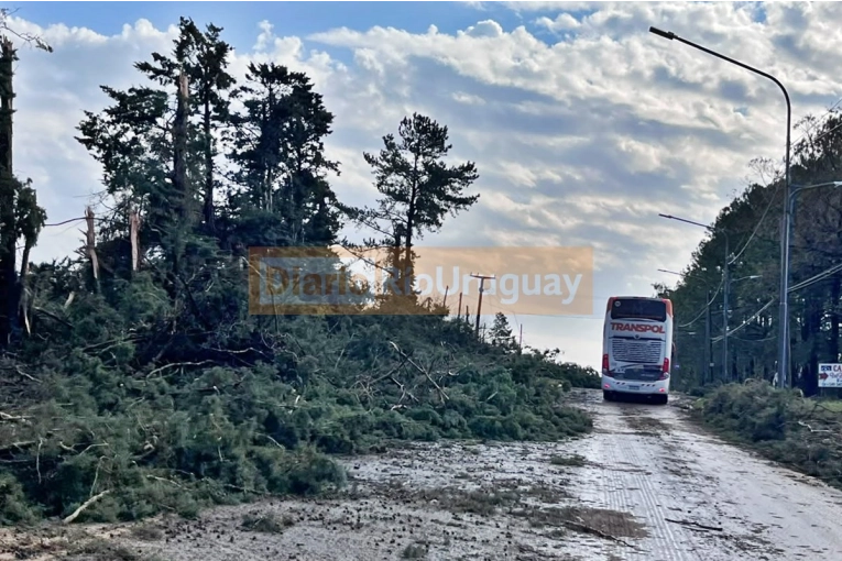 El gobierno provincial anunció que se coordina un operativo para asistir a las localidades afectadas por la tormenta