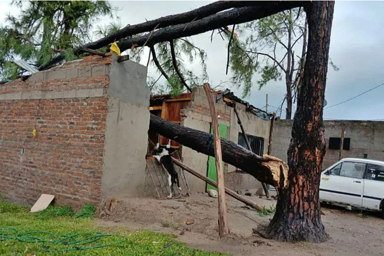 El temporal fue fatal en la vecina ciudad de Salto donde falleci&oacute; una mujer