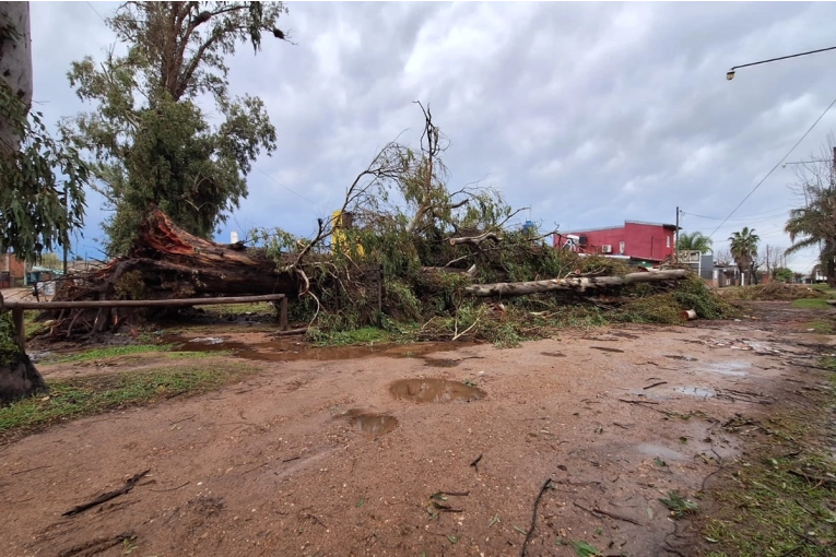 Más de 50 familias solicitaron asistencia tras el temporal y continúa el operativo en Concordia