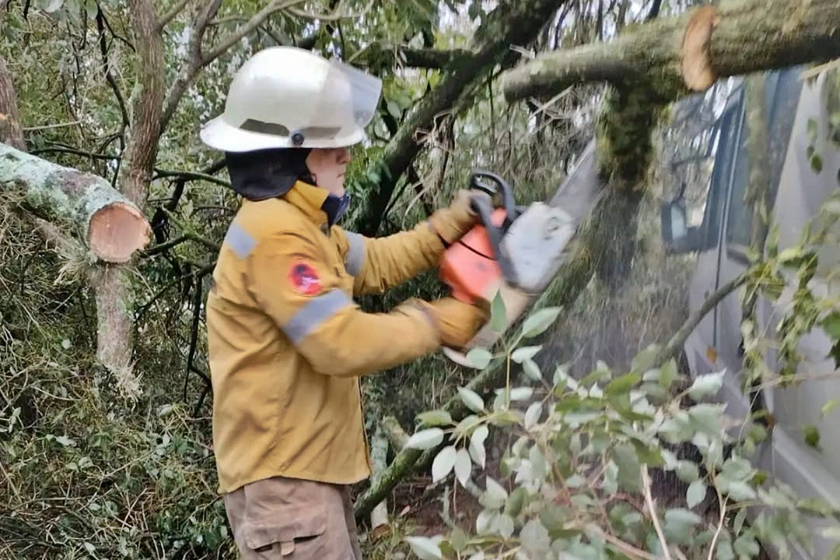 Intenso trabajo de Bomberos Voluntarios.