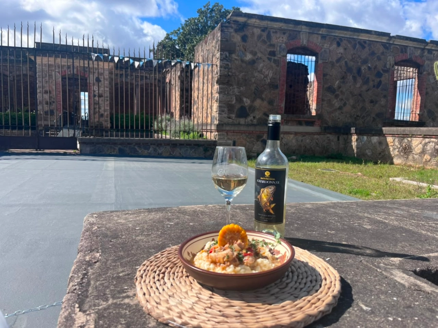 El cocinero prepar&oacute; una receta con productos regionales.
