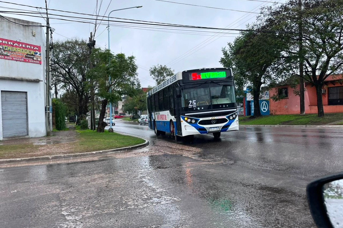 Colectivo de la L&iacute;nea 5 transitando por calle Diamante.