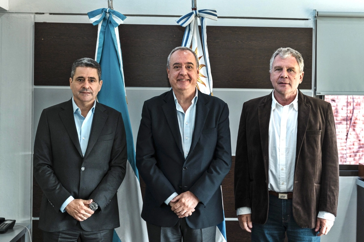 Marcone asumi&oacute; formalmente.