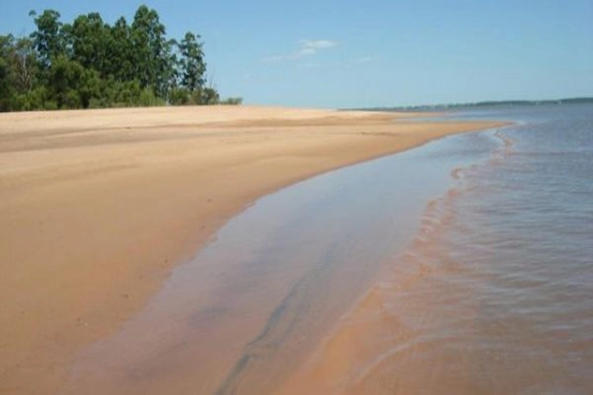 Ya se comenz&oacute; con el retiro de ramas y troncos que llegan desde Misiones, Corrientes y Brasil.