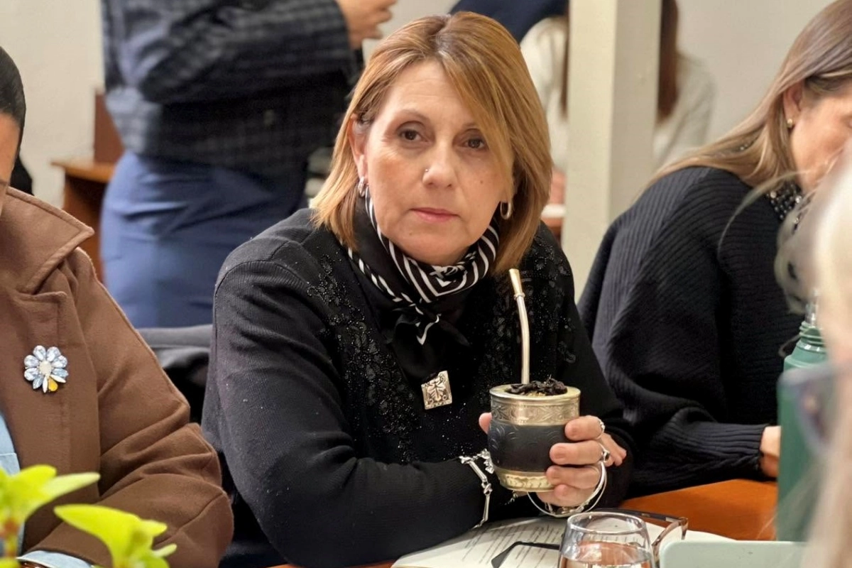 Salinas se manifest&oacute; respecto a su proyecto sobre salarios judiciales.