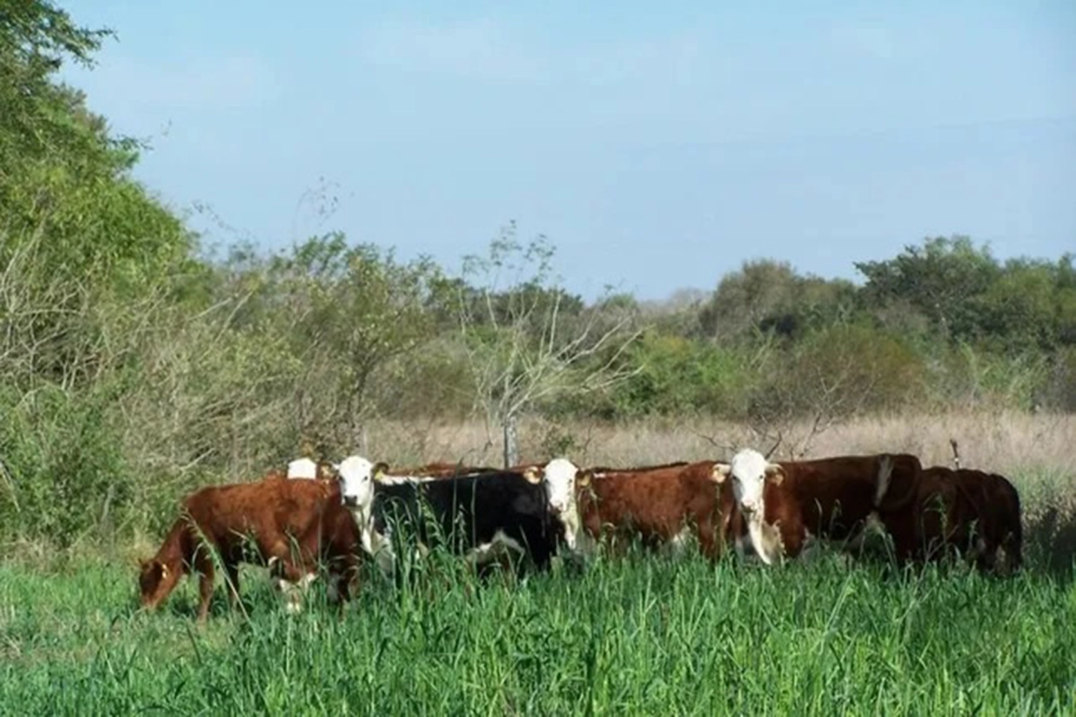 Equivalen al al 65% de la superficie total de terrenos p&uacute;blicos de la provincia.