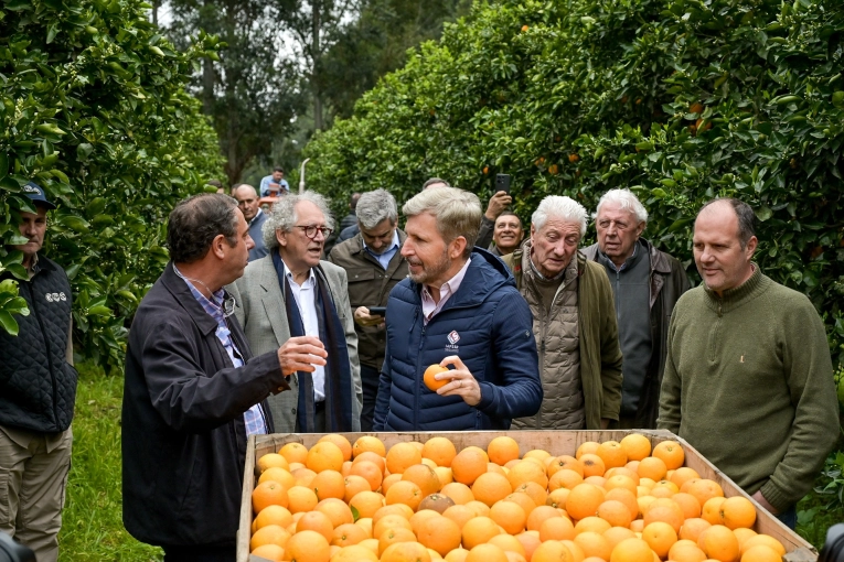 Frigerio aseguró que Entre Ríos está más cerca de exportar cítricos a EE.UU.