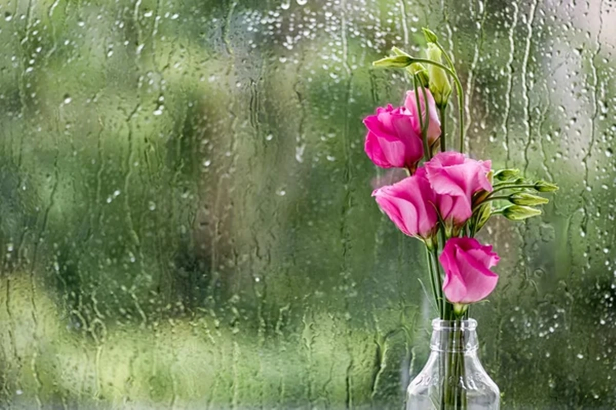 La primavera se har&aacute; sentir sobre el cierre de la semana.